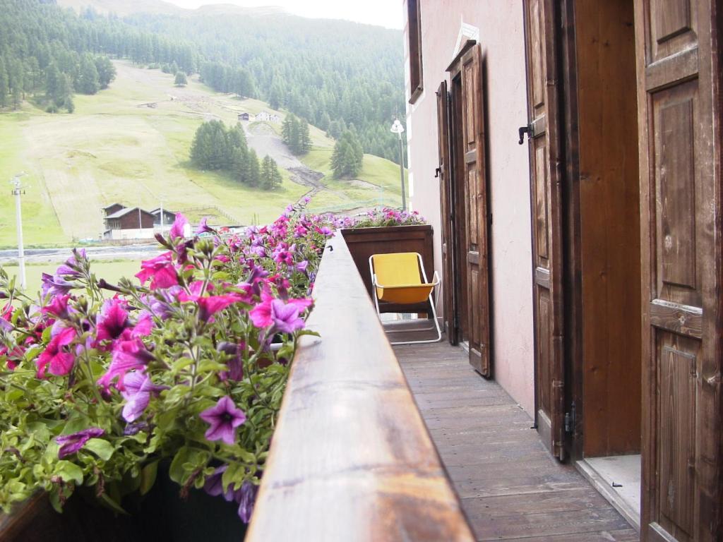 Hotel Adele 3*