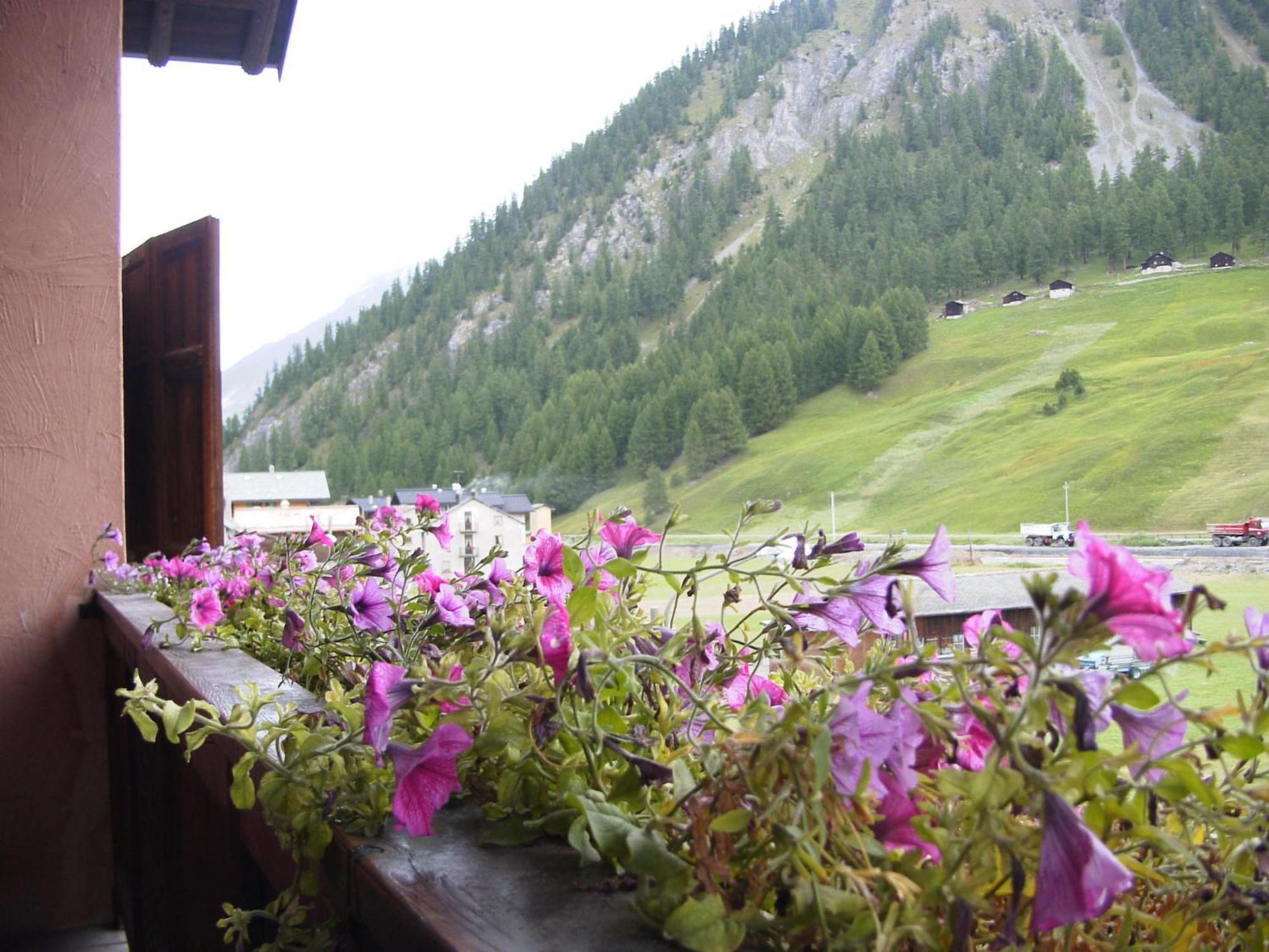 Hotel Adele 3*